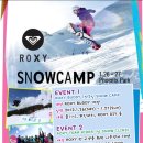 ROXY SNOW CAMP in Phoenix Park 이미지