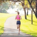 피아트짐 이미지