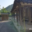 함평 자형정 이미지