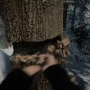 더포레스트 이미지