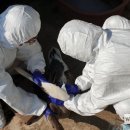 창녕고등학교 이미지