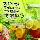 러브카페