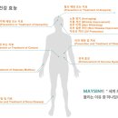 메이신건강식품