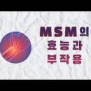 MSM의 효능과 부작용 이미지