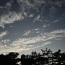 하기숲 캠핑장 이미지