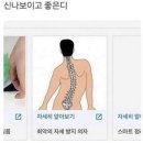 제주육돈가 이미지