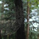 지금 만나러 갑니다 이미지