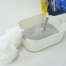 (주)아로펫 이미지