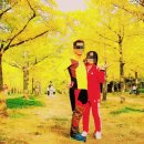 단풍나무펜션민박 이미지