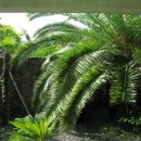 더족꾼신창풍차마을점 이미지