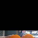 창호농장 이미지