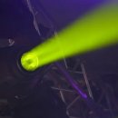 2025 심수봉 전국투어 콘서트 꽃길 이미지