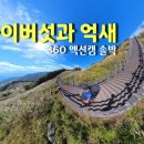 202410 능이버섯 / 잡싸리 / 360도 액션캠 리얼솔박 이미지