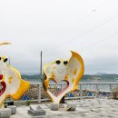 강진만해양레저 이미지