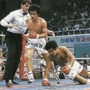 장정구 복싱 이미지