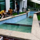 멍스타애견 이미지