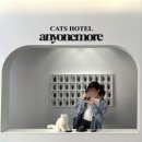 비트앤코인노래연습장 | [여행] 대구에서 2박 3일(with ㅊㅇ, ㅎㅈ)