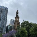 세인트빌딩 | 시드니여행 가볼만한곳 관광지 퀸빅토리아빌딩 하이드공원 세인트메리대성당