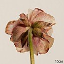 문화복지회관 대공연장 이미지