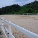 산청승마장 Daum카페