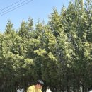 개러리아 송파점 이미지