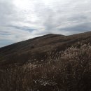 (주)양지약품 이미지