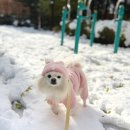 농림수산검역검사본부_상 | 베트남 애견동반 해외여행 인천공항 동물 검역 예약 방법