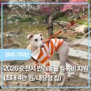 시민동물병원 | 128/2026 순천시 반려동물 등록비 지원사업 신청 후기! (최대 4만 원 지원금 받는 법)