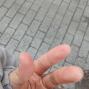 사단법인 과천시지체장애인협회 | 장애인 근로 작업 보조 봉사 후기 | 사단법인 부산진구장애인협회