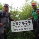 솔봉 Daum카페