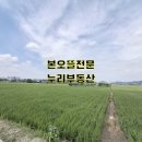 원뜰농장 이미지