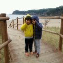 구름포오토캠핑장 이미지