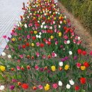 평촌공원 이미지