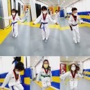 국가대표태인태권도장 이미지