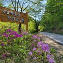 백운산 자연휴양림 야영장 이미지