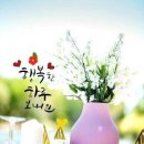 행복한하루 이미지