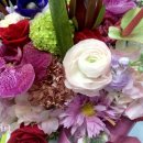 화비꽃방 이미지