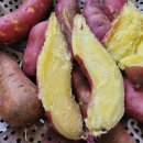 농업회사법인녹색식품(주)