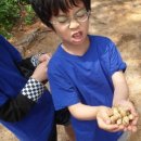 청솔초등학교 이미지