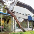 달의 정원 | 하남 데이트 달의정원 카페 브런치 주차 메뉴 경기도 갈만한곳 나들이