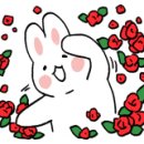 불새닭발 이미지