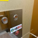 수일생오리 이미지