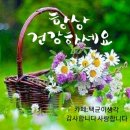 ♡미스트롯2 양지은(진)♡ 이미지