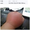 둔산주먹구이 이미지