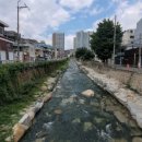 청룡예전로 이미지