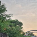 삼가리 | [서울/종로] 크림듬뿍 아베베베이커리 내돈내산 후기, 광장시장 청계천뷰 카페, 제주도 웨이팅 맛집