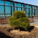 365다시재한방병원 이미지