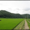 마장3리 이미지