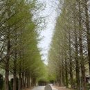 마이산 꽃 펜션 이미지