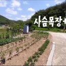 아담목장 이미지